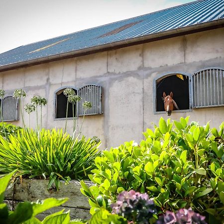 Le Cottage De La Doucette แปงปง ภายนอก รูปภาพ