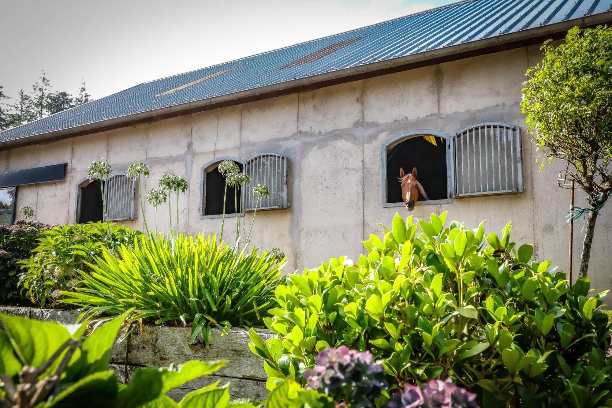 Le Cottage De La Doucette แปงปง ภายนอก รูปภาพ